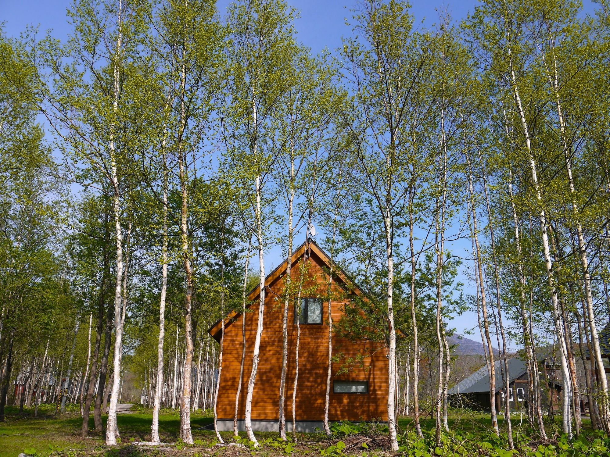 Country Resort Niseko Kutchan Bagian luar foto